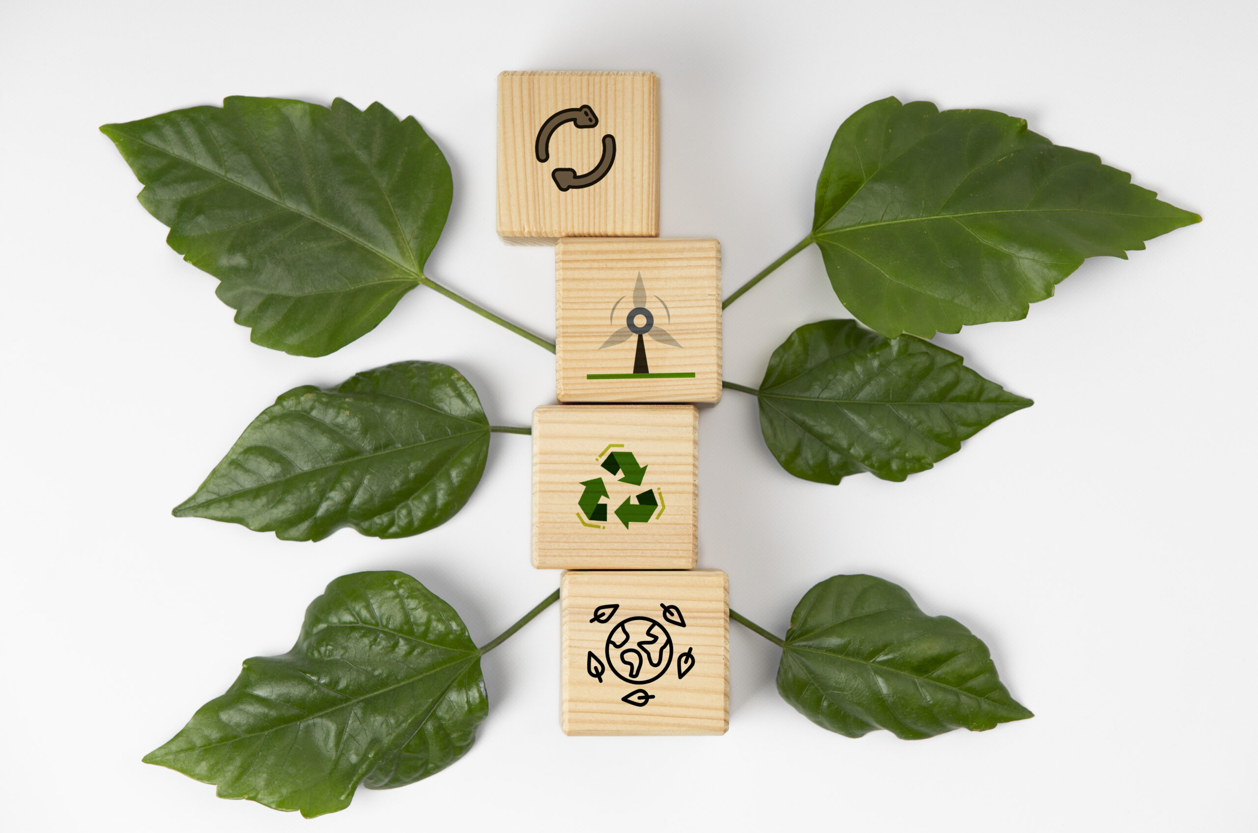 10 sustainable-development-goals-still-life
